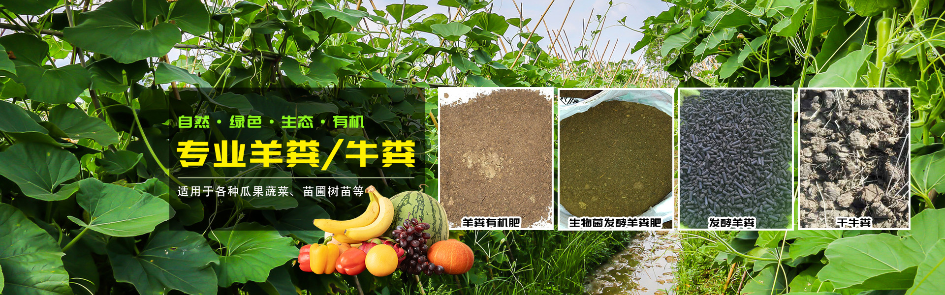幻灯