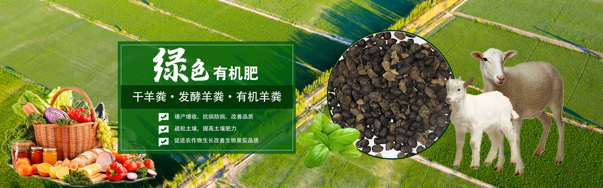幻灯