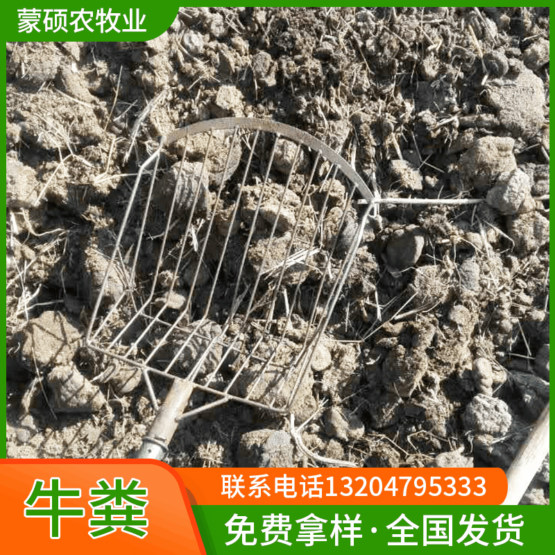 干牛粪