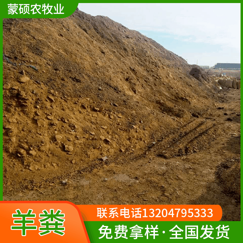 干羊粪 
