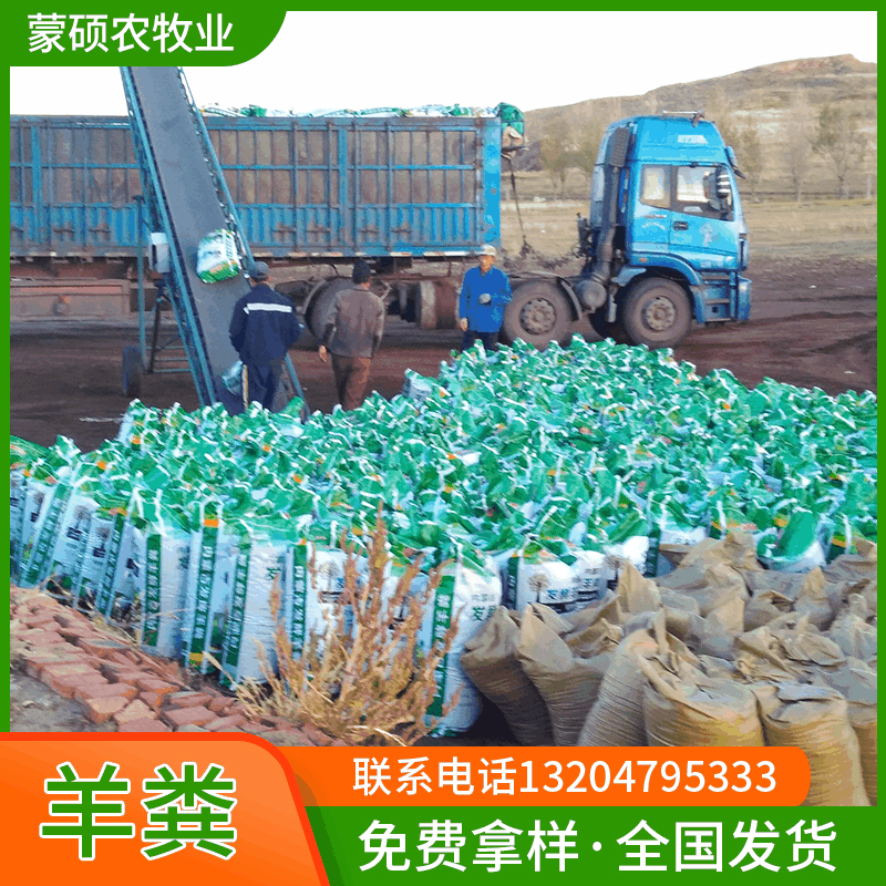 发酵羊粪肥 