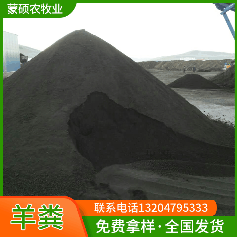 发酵羊粪肥 