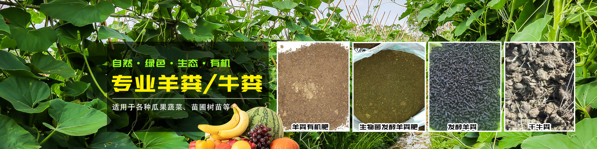 发酵羊粪肥